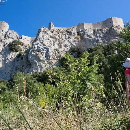 Xl Familles Et Groupes Sous Peyrepertuse Duilhac