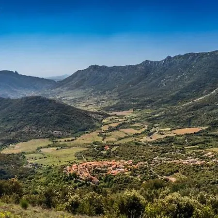 Xl Familles Et Groupes Sous Peyrepertuse *