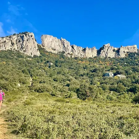 Xl Familles Et Groupes Sous Peyrepertuse * Duilhac
