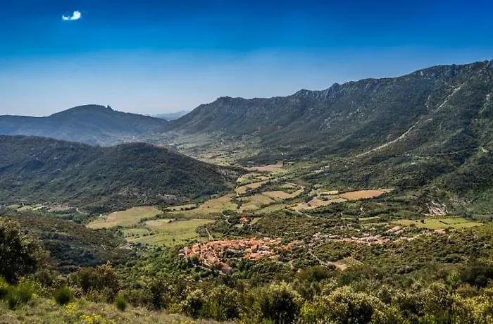 Gite Xl Familles Et Groupes Duilhac Sous Peyrepertuse *
